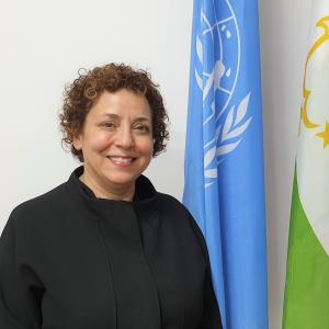 Ms. Sezin Sinanoglu, UN Resident Coordinator